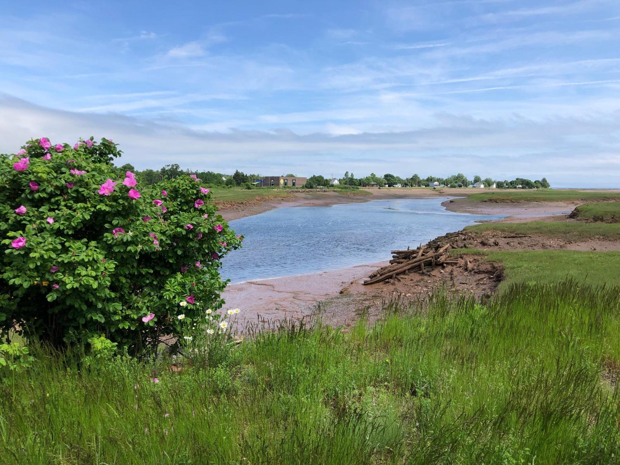 Pleasant Street Inn Parrsboro Екстериор снимка