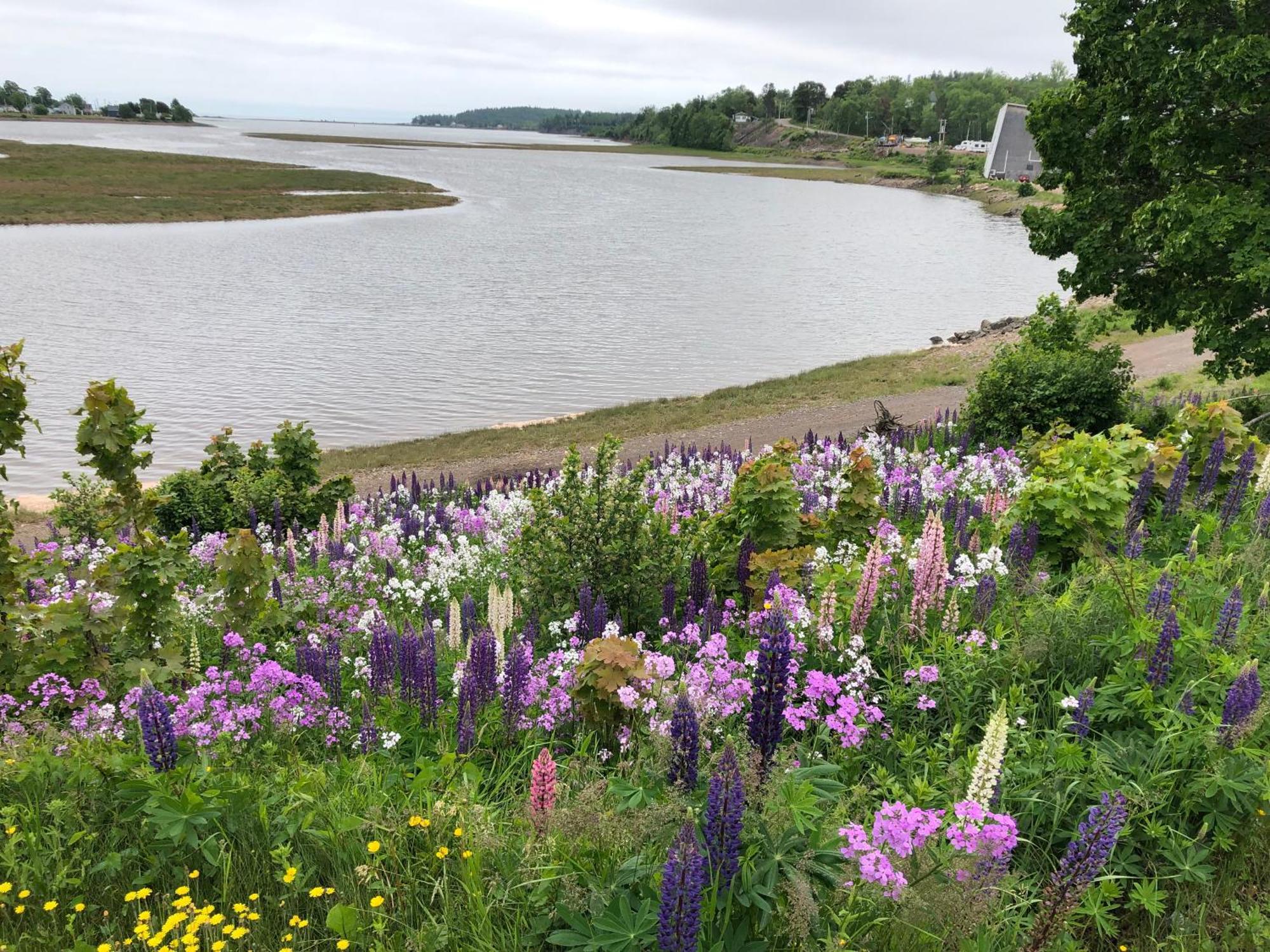 Pleasant Street Inn Parrsboro Екстериор снимка